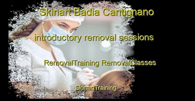 Skinart Badia Cantignano introductory removal sessions | #RemovalTraining #RemovalClasses #SkinartTraining-Italy