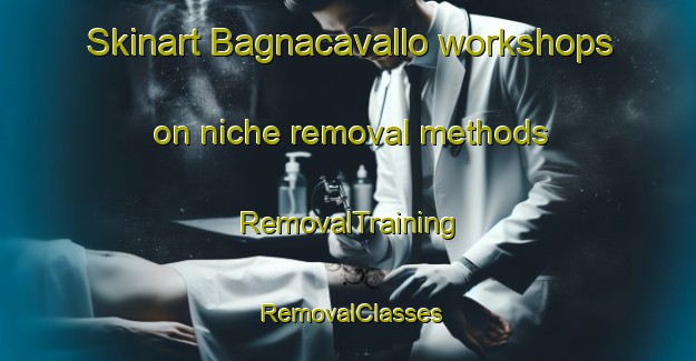 Skinart Bagnacavallo workshops on niche removal methods | RemovalTraining | RemovalClasses | SkinartTraining-Italy