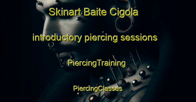 Skinart Baite Cigola introductory piercing sessions | #PiercingTraining #PiercingClasses #SkinartTraining-Italy