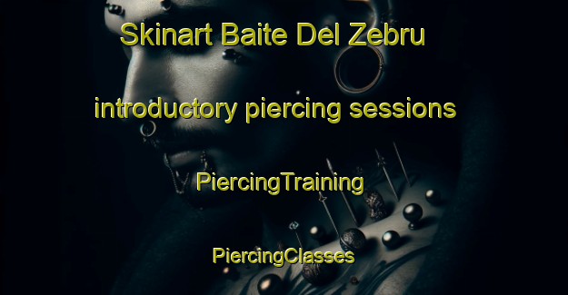 Skinart Baite Del Zebru introductory piercing sessions | #PiercingTraining #PiercingClasses #SkinartTraining-Italy