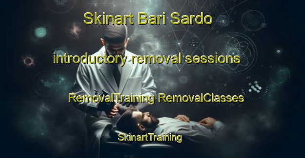 Skinart Bari Sardo introductory removal sessions | #RemovalTraining #RemovalClasses #SkinartTraining-Italy