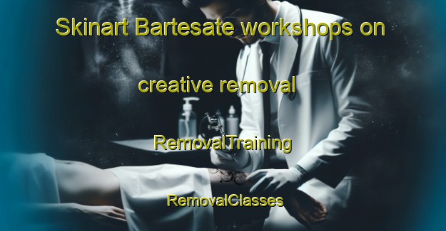 Skinart Bartesate workshops on creative removal | RemovalTraining | RemovalClasses | SkinartTraining-Italy