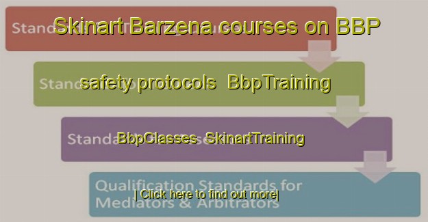 Skinart Barzena courses on BBP safety protocols | BbpTraining | BbpClasses | SkinartTraining-Italy