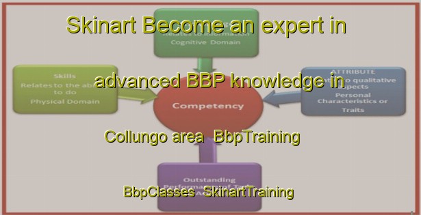 Skinart Become an expert in advanced BBP knowledge in Collungo area | BbpTraining | BbpClasses | SkinartTraining-Italy