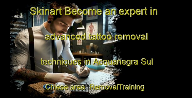 Skinart Become an expert in advanced tattoo removal techniques in Acquanegra Sul Chiese area | RemovalTraining | RemovalClasses | SkinartTraining-Italy