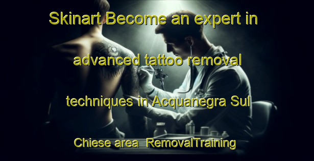 Skinart Become an expert in advanced tattoo removal techniques in Acquanegra Sul Chiese area | RemovalTraining | RemovalClasses | SkinartTraining-Italy