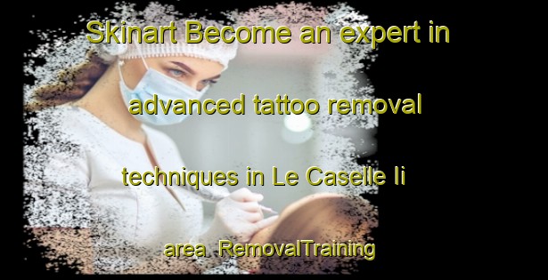 Skinart Become an expert in advanced tattoo removal techniques in Le Caselle Ii area | RemovalTraining | RemovalClasses | SkinartTraining-Italy