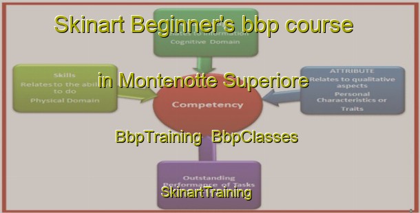 Skinart Beginner's bbp course in Montenotte Superiore | BbpTraining | BbpClasses | SkinartTraining-Italy
