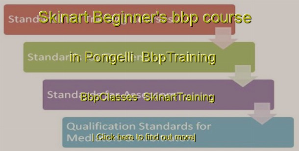 Skinart Beginner's bbp course in Pongelli | BbpTraining | BbpClasses | SkinartTraining-Italy