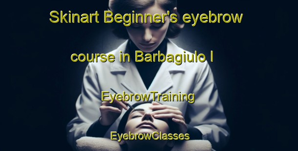 Skinart Beginner's eyebrow course in Barbagiulo I | EyebrowTraining | EyebrowClasses | SkinartTraining-Italy