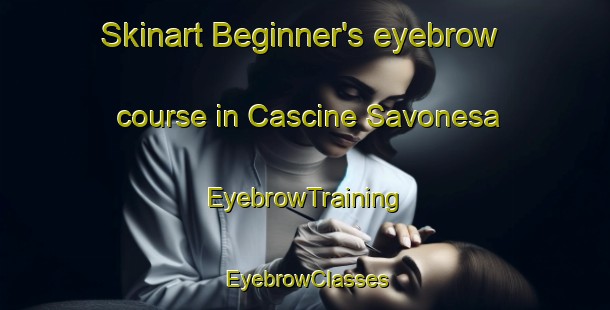 Skinart Beginner's eyebrow course in Cascine Savonesa | EyebrowTraining | EyebrowClasses | SkinartTraining-Italy