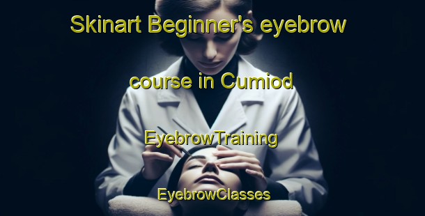 Skinart Beginner's eyebrow course in Cumiod | EyebrowTraining | EyebrowClasses | SkinartTraining-Italy