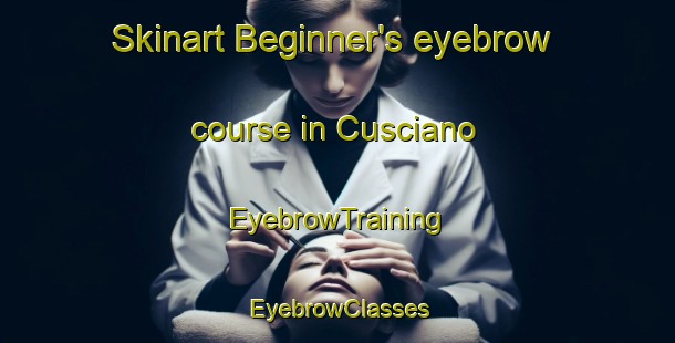 Skinart Beginner's eyebrow course in Cusciano | EyebrowTraining | EyebrowClasses | SkinartTraining-Italy