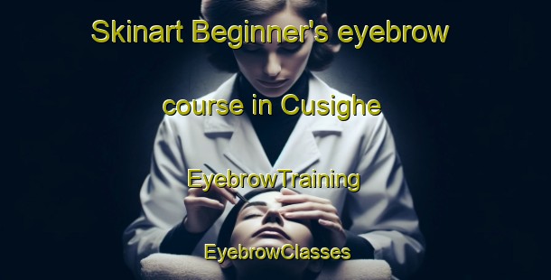 Skinart Beginner's eyebrow course in Cusighe | EyebrowTraining | EyebrowClasses | SkinartTraining-Italy