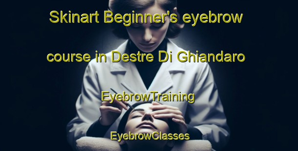 Skinart Beginner's eyebrow course in Destre Di Ghiandaro | EyebrowTraining | EyebrowClasses | SkinartTraining-Italy