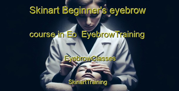 Skinart Beginner's eyebrow course in Eo | EyebrowTraining | EyebrowClasses | SkinartTraining-Italy