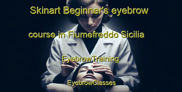 Skinart Beginner's eyebrow course in Fiumefreddo Sicilia | EyebrowTraining | EyebrowClasses | SkinartTraining-Italy