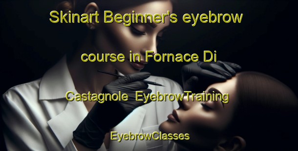 Skinart Beginner's eyebrow course in Fornace Di Castagnole | EyebrowTraining | EyebrowClasses | SkinartTraining-Italy
