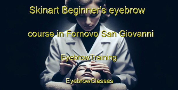 Skinart Beginner's eyebrow course in Fornovo San Giovanni | EyebrowTraining | EyebrowClasses | SkinartTraining-Italy
