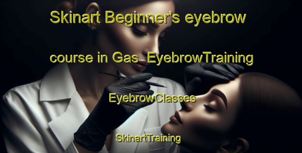 Skinart Beginner's eyebrow course in Gas | EyebrowTraining | EyebrowClasses | SkinartTraining-Italy