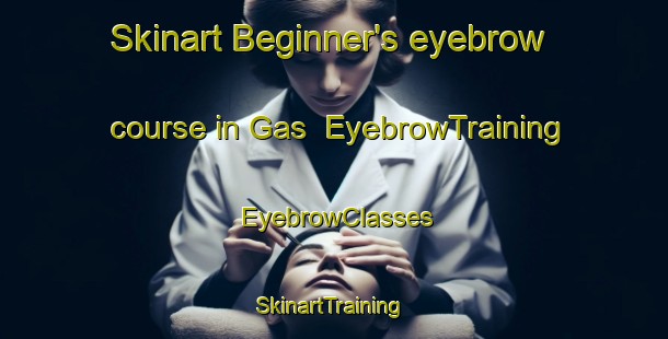 Skinart Beginner's eyebrow course in Gas | EyebrowTraining | EyebrowClasses | SkinartTraining-Italy