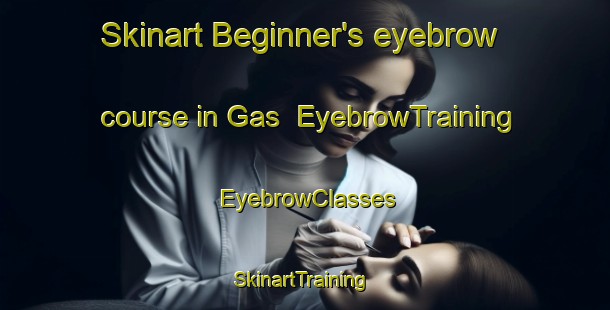 Skinart Beginner's eyebrow course in Gas | EyebrowTraining | EyebrowClasses | SkinartTraining-Italy