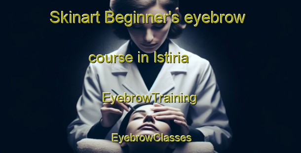 Skinart Beginner's eyebrow course in Istiria | EyebrowTraining | EyebrowClasses | SkinartTraining-Italy