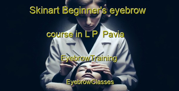 Skinart Beginner's eyebrow course in L P  Pavia | EyebrowTraining | EyebrowClasses | SkinartTraining-Italy