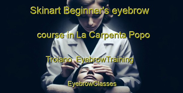 Skinart Beginner's eyebrow course in La Carpenta Popo Troiano | EyebrowTraining | EyebrowClasses | SkinartTraining-Italy