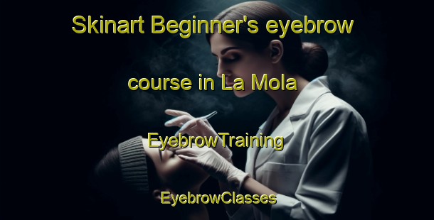 Skinart Beginner's eyebrow course in La Mola | EyebrowTraining | EyebrowClasses | SkinartTraining-Italy