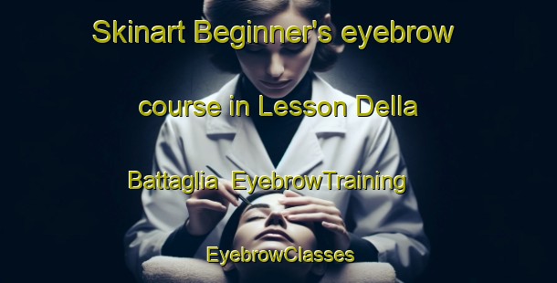 Skinart Beginner's eyebrow course in Lesson Della Battaglia | EyebrowTraining | EyebrowClasses | SkinartTraining-Italy
