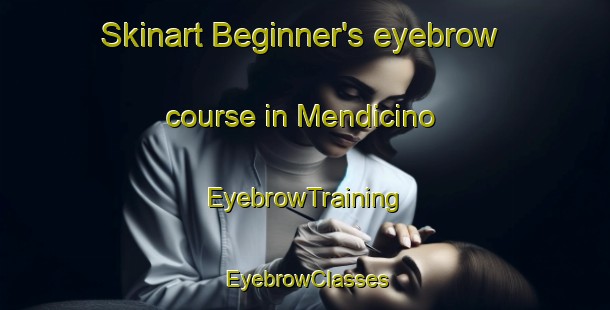 Skinart Beginner's eyebrow course in Mendicino | EyebrowTraining | EyebrowClasses | SkinartTraining-Italy
