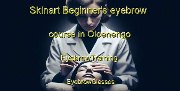 Skinart Beginner's eyebrow course in Olcenengo | EyebrowTraining | EyebrowClasses | SkinartTraining-Italy