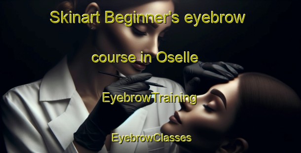 Skinart Beginner's eyebrow course in Oselle | EyebrowTraining | EyebrowClasses | SkinartTraining-Italy