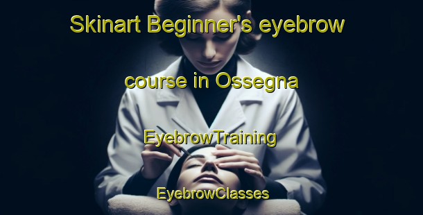 Skinart Beginner's eyebrow course in Ossegna | EyebrowTraining | EyebrowClasses | SkinartTraining-Italy