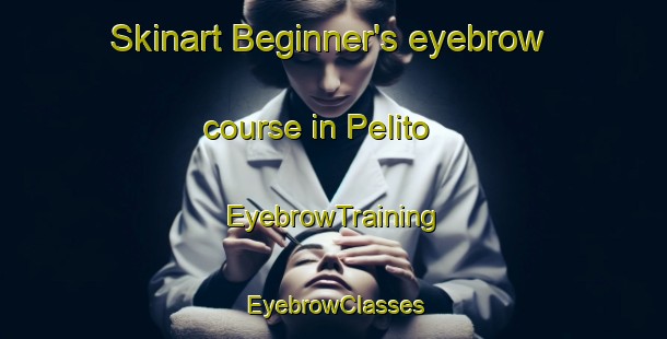 Skinart Beginner's eyebrow course in Pelito | EyebrowTraining | EyebrowClasses | SkinartTraining-Italy