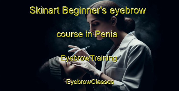 Skinart Beginner's eyebrow course in Penia | EyebrowTraining | EyebrowClasses | SkinartTraining-Italy