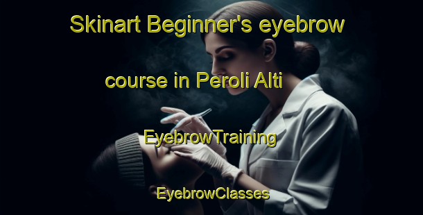 Skinart Beginner's eyebrow course in Peroli Alti | EyebrowTraining | EyebrowClasses | SkinartTraining-Italy