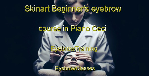 Skinart Beginner's eyebrow course in Piano Ceci | EyebrowTraining | EyebrowClasses | SkinartTraining-Italy