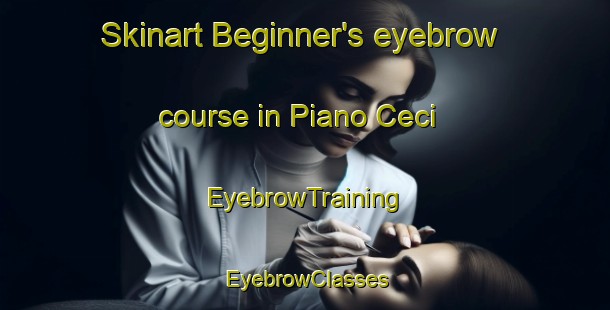 Skinart Beginner's eyebrow course in Piano Ceci | EyebrowTraining | EyebrowClasses | SkinartTraining-Italy
