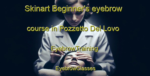 Skinart Beginner's eyebrow course in Pozzetto Del Lovo | EyebrowTraining | EyebrowClasses | SkinartTraining-Italy