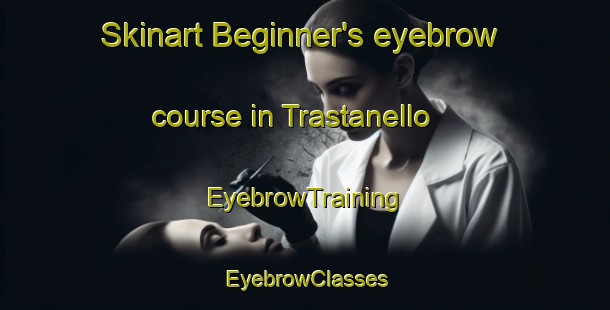 Skinart Beginner's eyebrow course in Trastanello | EyebrowTraining | EyebrowClasses | SkinartTraining-Italy