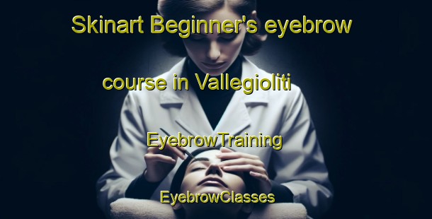 Skinart Beginner's eyebrow course in Vallegioliti | EyebrowTraining | EyebrowClasses | SkinartTraining-Italy