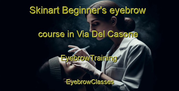 Skinart Beginner's eyebrow course in Via Del Casone | EyebrowTraining | EyebrowClasses | SkinartTraining-Italy