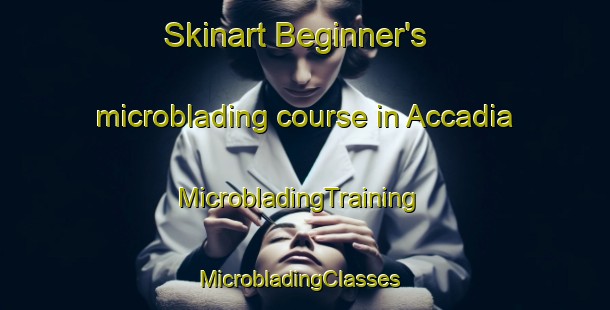 Skinart Beginner's microblading course in Accadia | MicrobladingTraining | MicrobladingClasses | SkinartTraining-Italy