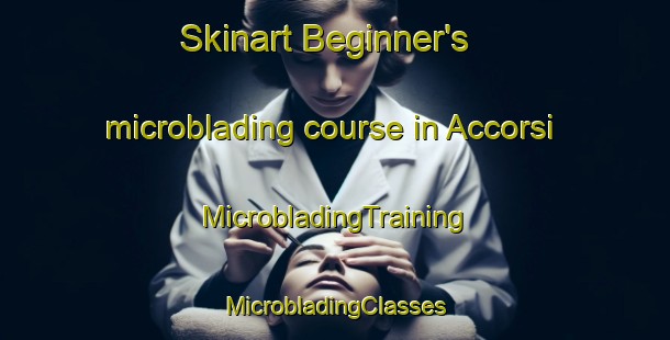 Skinart Beginner's microblading course in Accorsi | #MicrobladingTraining #MicrobladingClasses #SkinartTraining-Italy