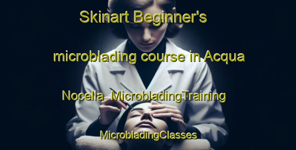 Skinart Beginner's microblading course in Acqua Nocella | #MicrobladingTraining #MicrobladingClasses #SkinartTraining-Italy