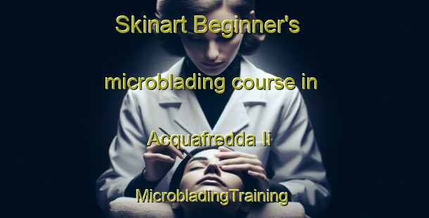 Skinart Beginner's microblading course in Acquafredda Ii | #MicrobladingTraining #MicrobladingClasses #SkinartTraining-Italy