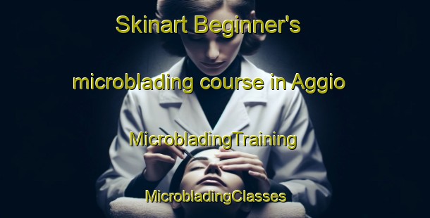 Skinart Beginner's microblading course in Aggio | #MicrobladingTraining #MicrobladingClasses #SkinartTraining-Italy