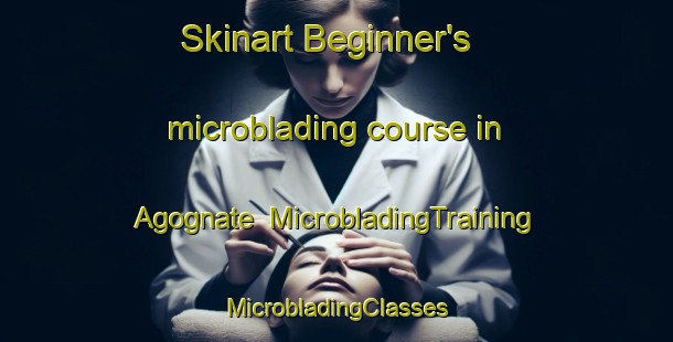 Skinart Beginner's microblading course in Agognate | #MicrobladingTraining #MicrobladingClasses #SkinartTraining-Italy